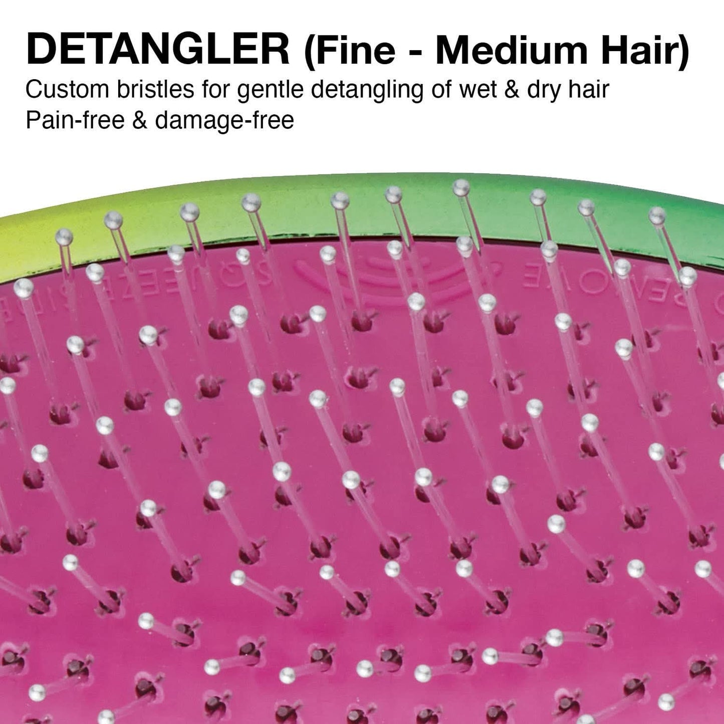 Olivia Garden OG Detangler Brush OGD-EF1 (DETANGLER FINE - MED) The Beauty Box