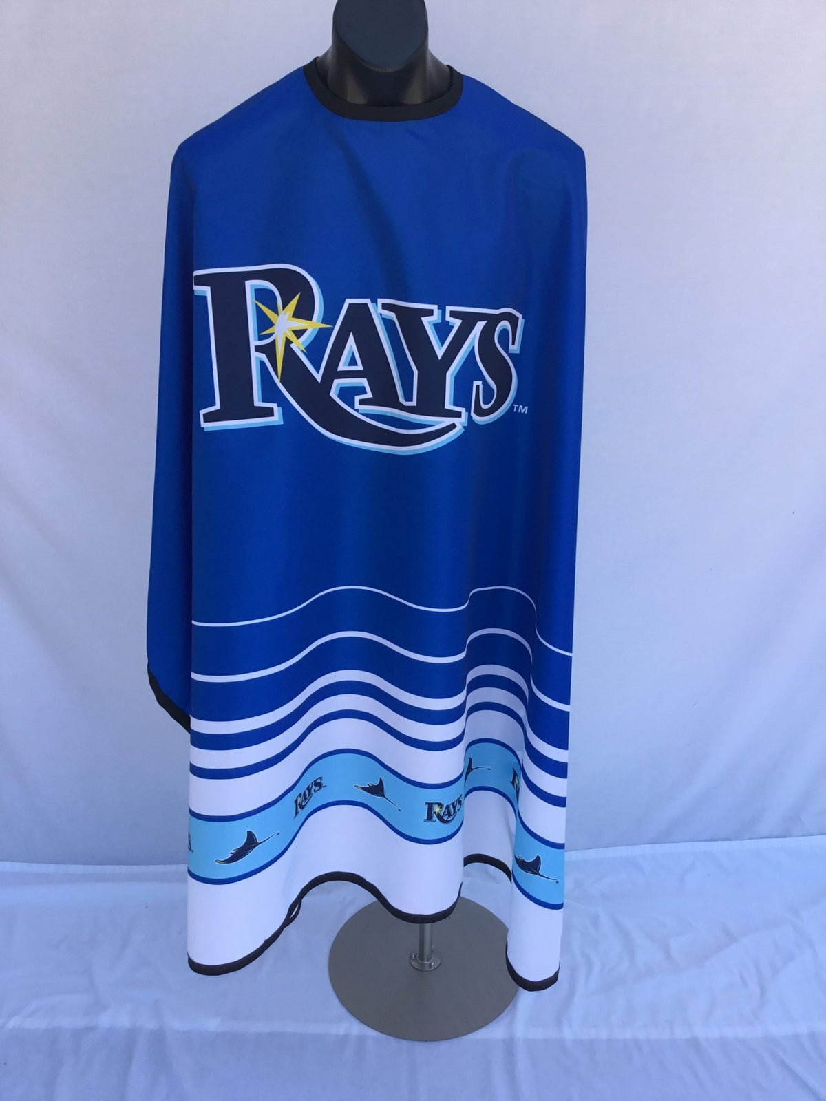 TAMPA BAY RAYS myteamcape