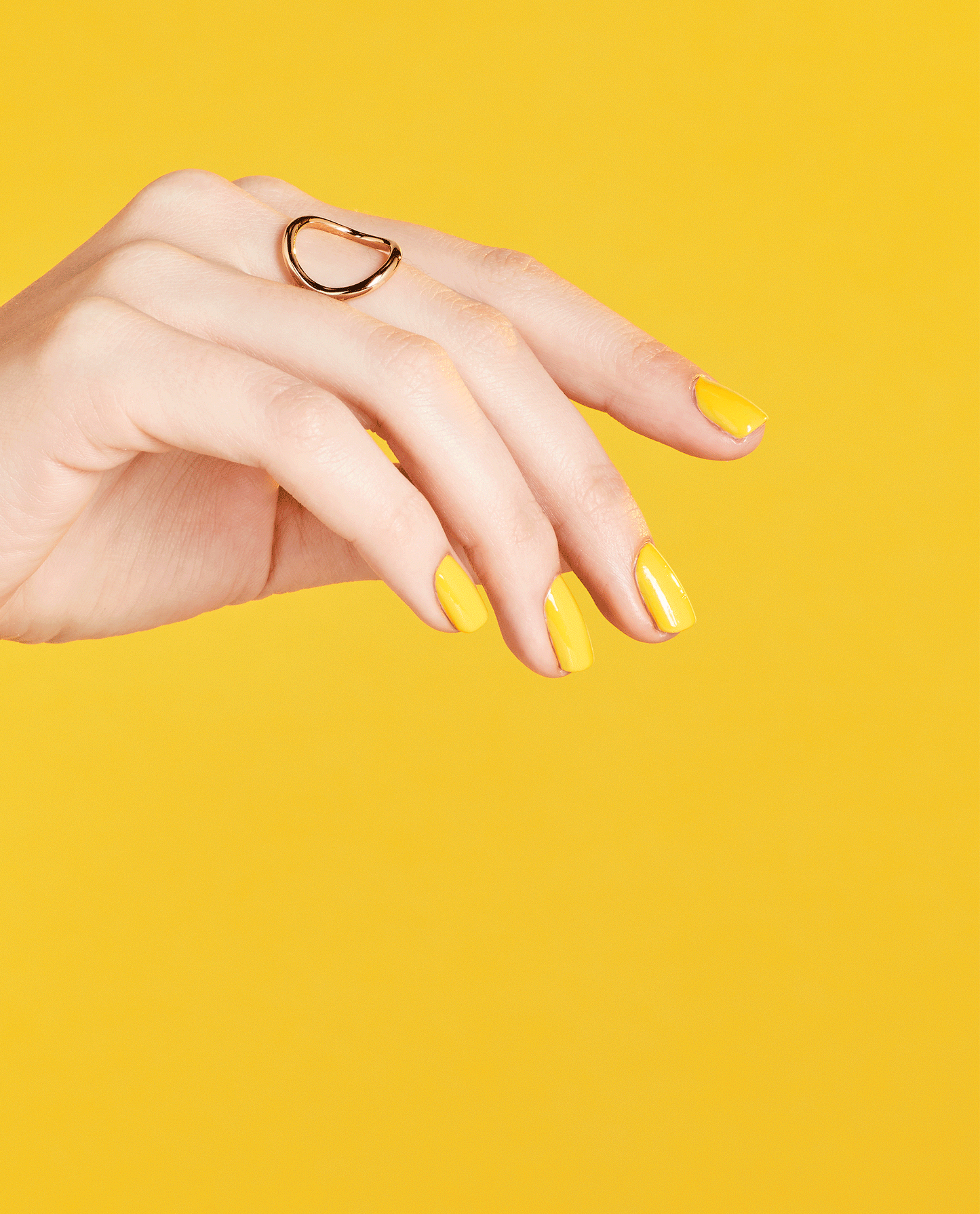 Exotic Birds Do Not Tweet Lunali Nail Supply