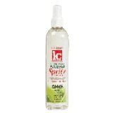 Fantasia iC Polisher Hairspray Spritz Super Hold, 10 oz VIP Extensions