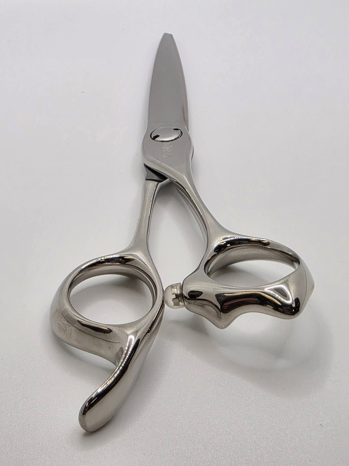 Reiki Shears - Prism 6.5 Inch Shear Reiki Shears