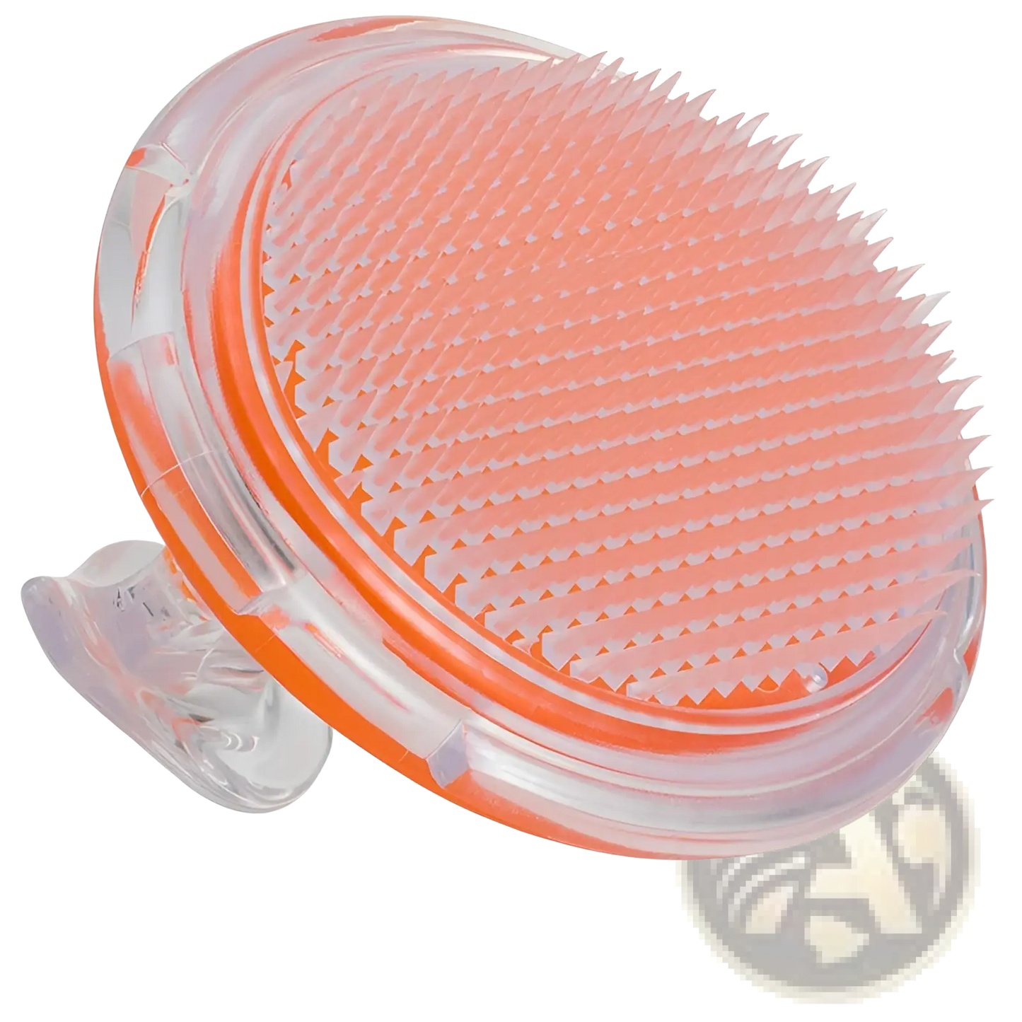 Scalp Massage Brush Exfoliating Hair Meridian Comb ARBA Global