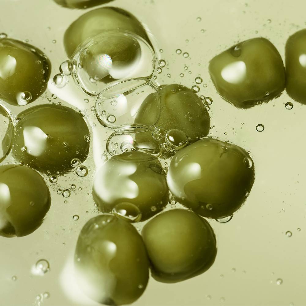 whamisa Organic Seeds Green Peas Shampoo Scalp Care 450ml Seoulia