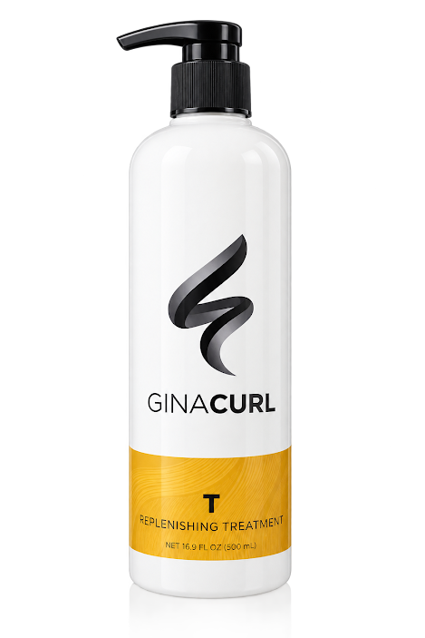 GinaCurl Replenishing Treatment 16.9oz Hairs Talent's E-Shop