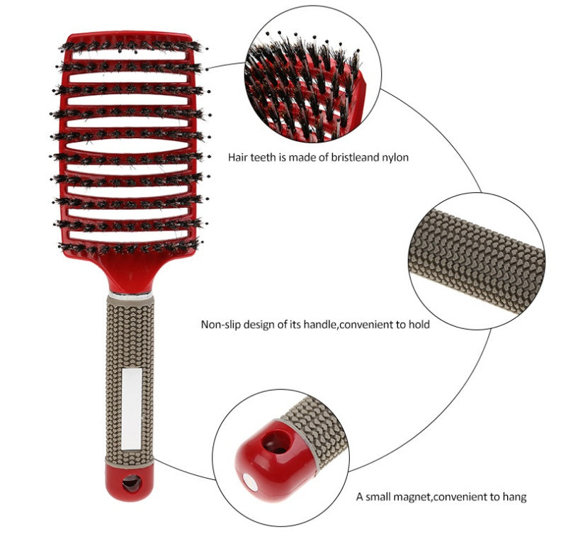 Hairbrush Anti Klit Brushy Haarborstel Women Detangler Hair Brush Bristle Nylon Scalp Massage  Teaser Hair Brush Comb Noventix