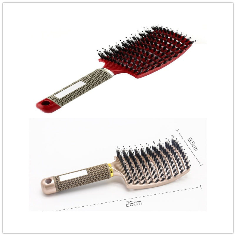 Hairbrush Anti Klit Brushy Haarborstel Women Detangler Hair Brush Bristle Nylon Scalp Massage  Teaser Hair Brush Comb Noventix