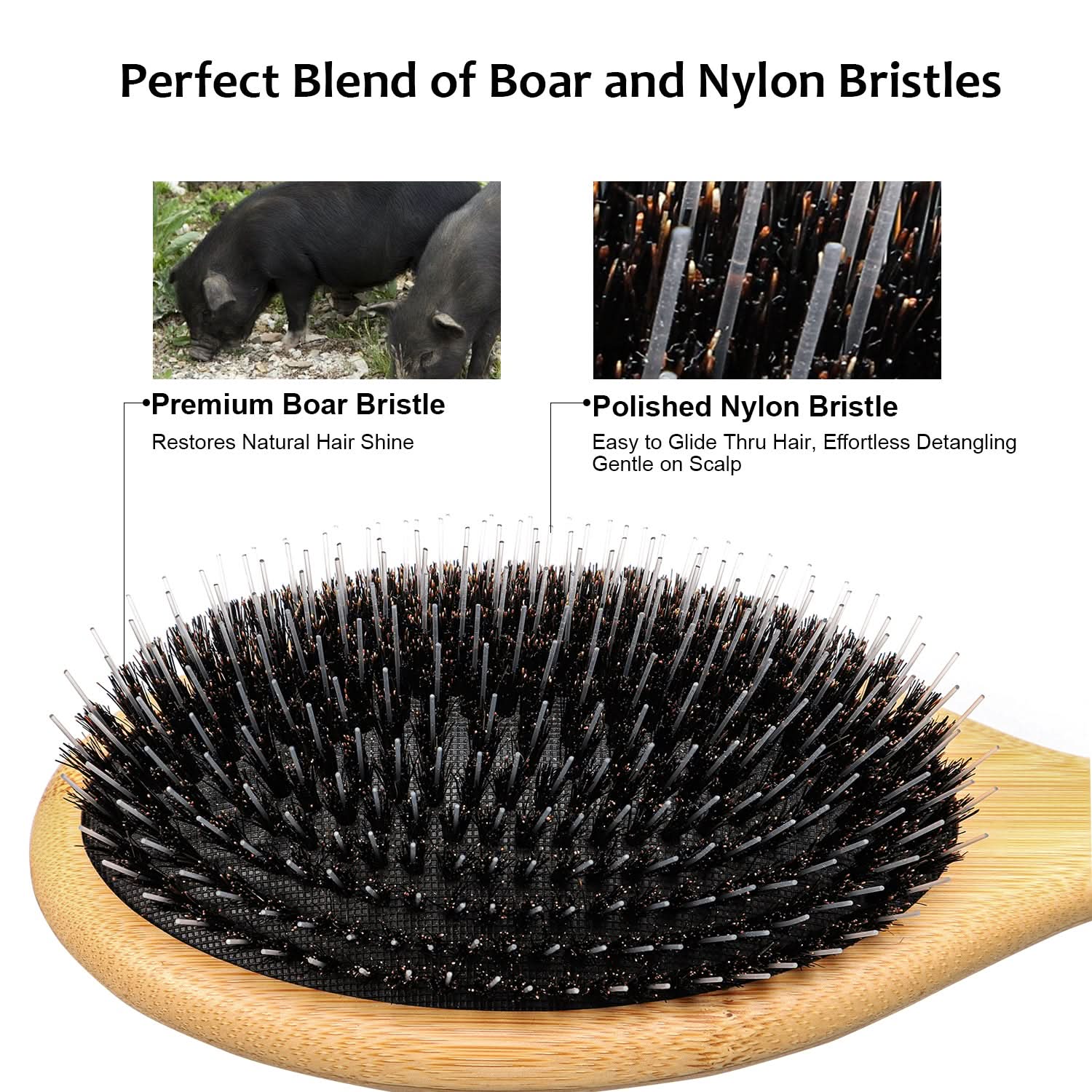 Eagle Fortress Bamboo Detangler Hair Brush The Beauty Box
