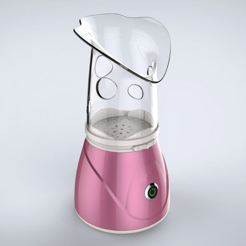 Anion facial steamer My Store