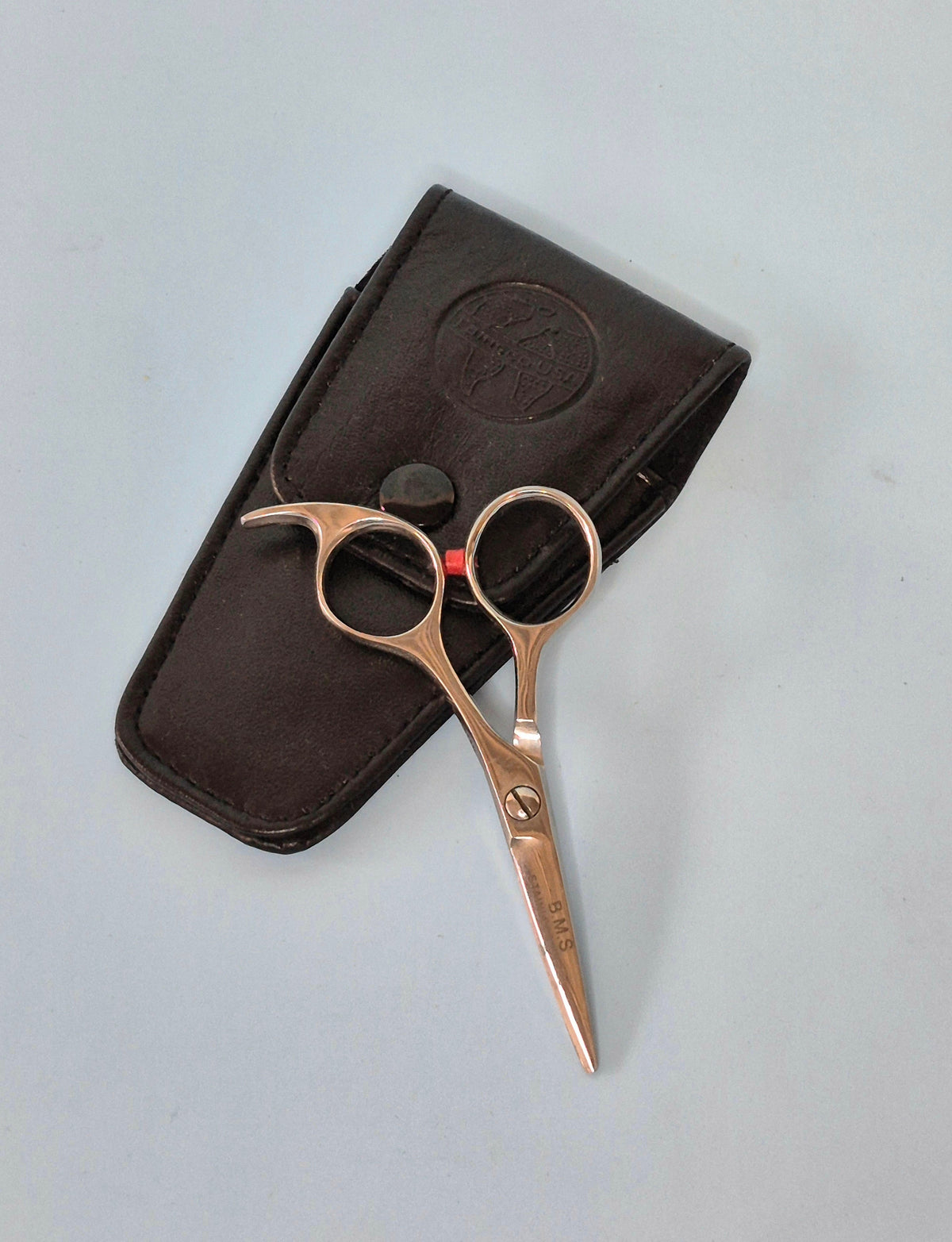 Mini Shears 4" Gold or Silver Tamsco Precision Tools