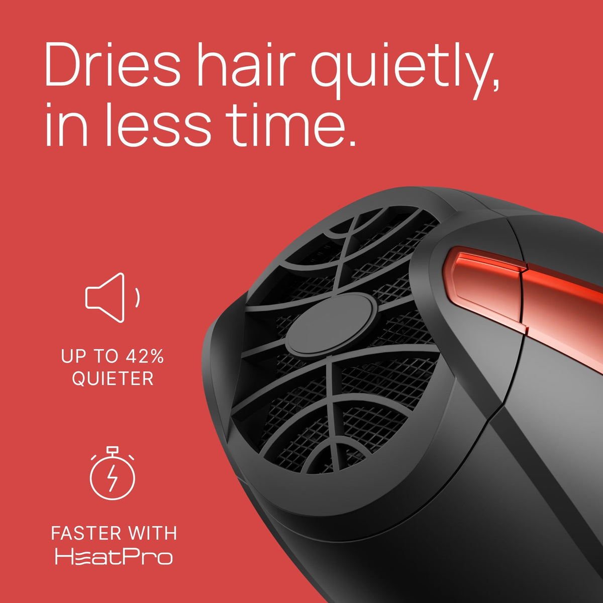 Professional Ionic Hair Dryer, 2200W, Lightweight Take It or Leave It