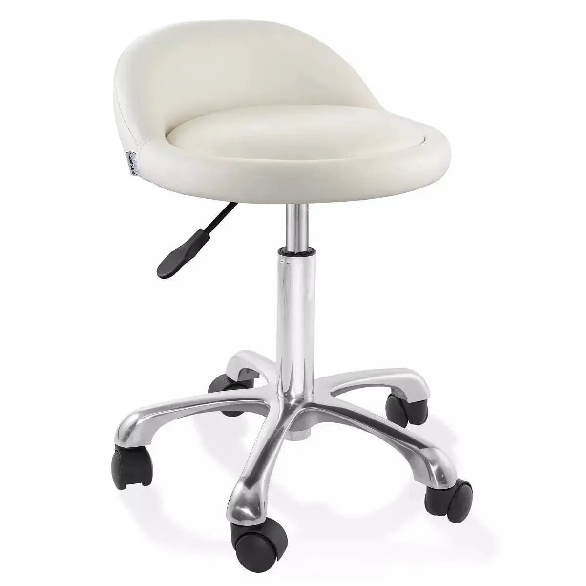 Rolling Hydraulic Salon Stool with Backrest - Adjustable Swivel Chair Platinum-Level Office Chairs