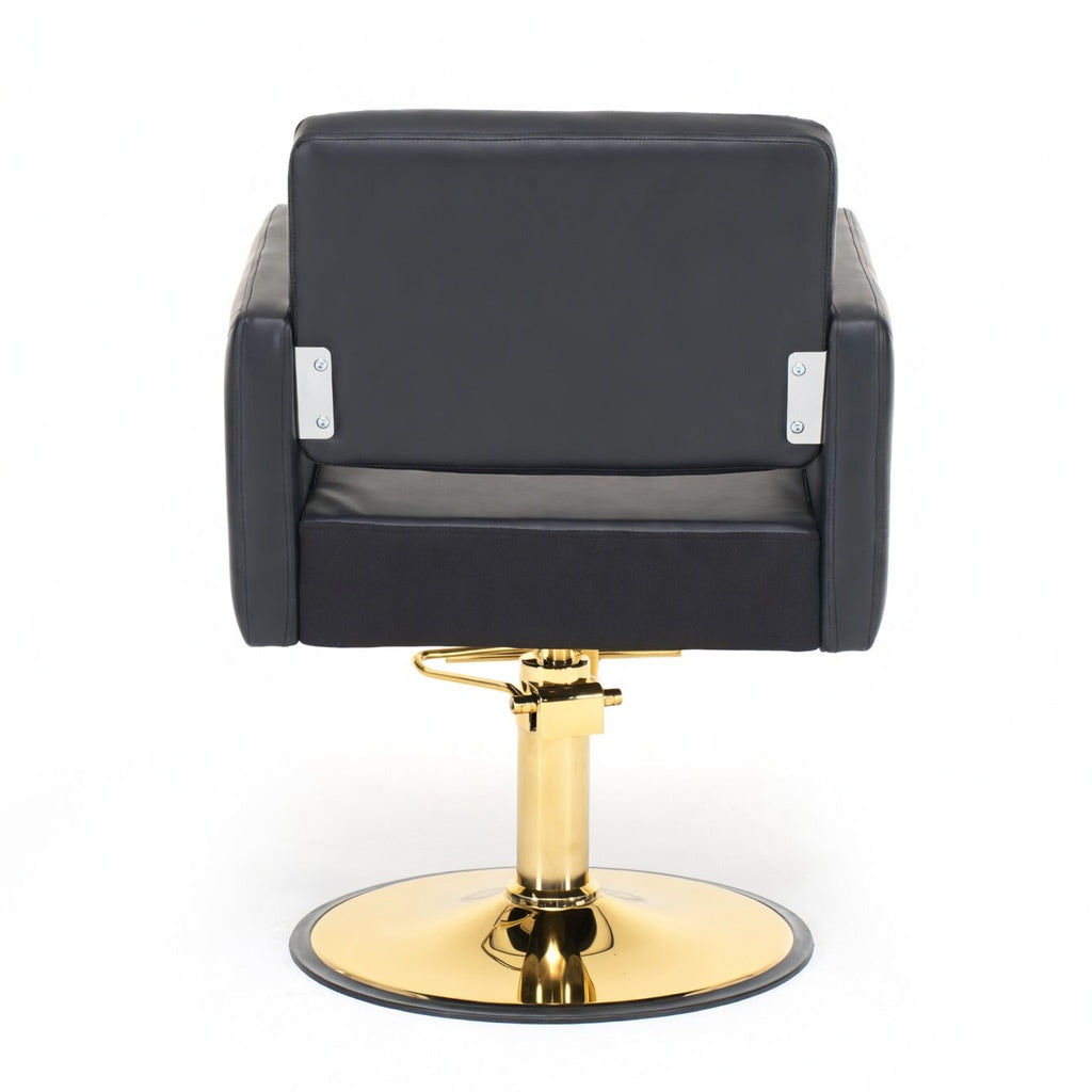 Barber Chair for Hair Stylist Home Furnishers