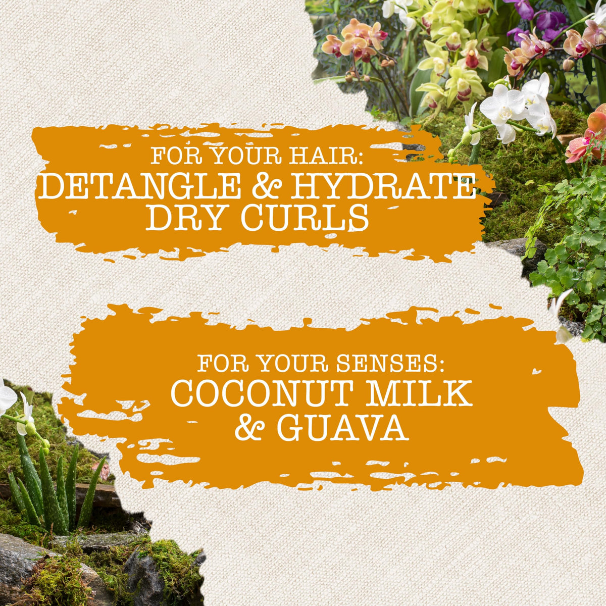 Maui Moisture Nourishing + Coconut Milk Hair Conditioner for Dry Hair - 13.01 fl oz Beauty Care Bag