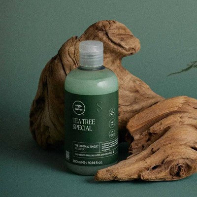 Tea Tree Special Shampoo 33.8 fl oz - Imperfect Container This is Beauty US