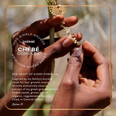 Cheribe Hair + Scalp Growth Oil with Chebe Complex + Rosemary Lightweight - New This is Beauty US
