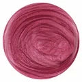 860 -  TUTTI FRUTTI - Gel Polish  - 15ml Lunali Nail Supply