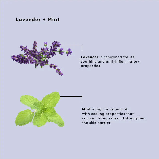 BCL Spa - Lavender + Mint - Dead Sea Salt Soak Queen Nails & Beauty Supplies