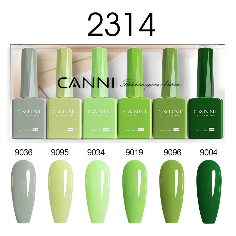 6pcs*9ml CANNI HEMA FREE Nail Gel Polish Set Gorgeous Color Semi Permanent Pigmented Painting Gel Soak off UV LED Gel Nails Kit Blushimmer