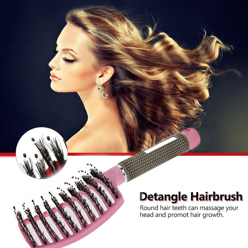 Hairbrush Anti Klit Brushy Haarborstel Women Detangler Hair Brush Bristle Nylon Scalp Massage  Teaser Hair Brush Comb Noventix