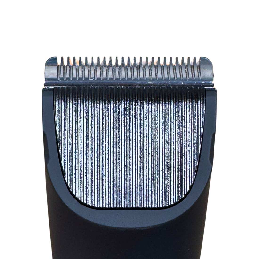 BodyGroom Pro Shave Essentials