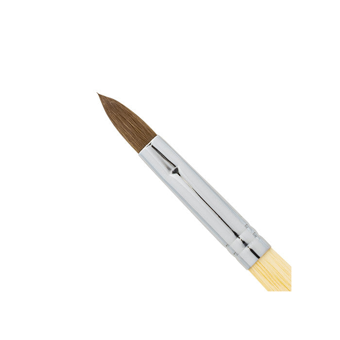 AmericaNails - Acrylic Brush Faux Kolinsky  #12 (Synthetic)(Pressed)