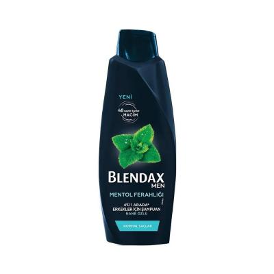 Blendax Men's Refreshing Menthol Shampoo - 16.91 fl oz - Volumizing & Long-Lasting Fragrance Beauty Care Bag