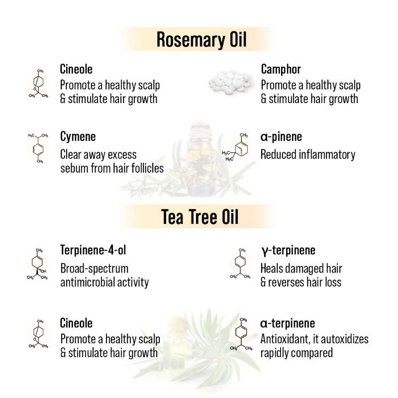 Keya Seth Aromatherapy Alopex Long N Strong Hair Oil Dista