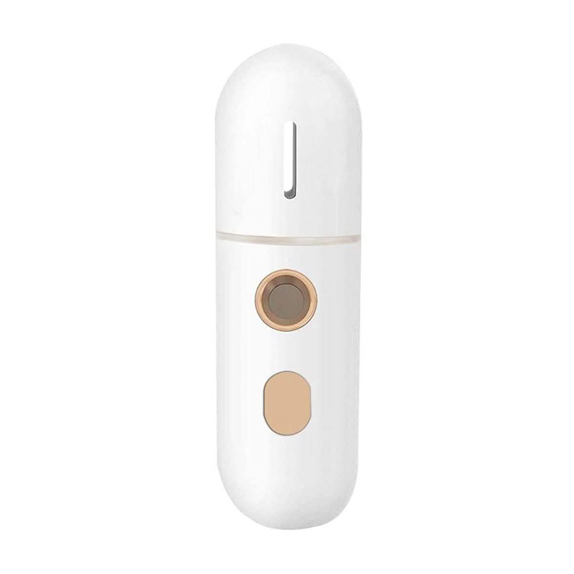 Portable Mini Face Steamer DailySale
