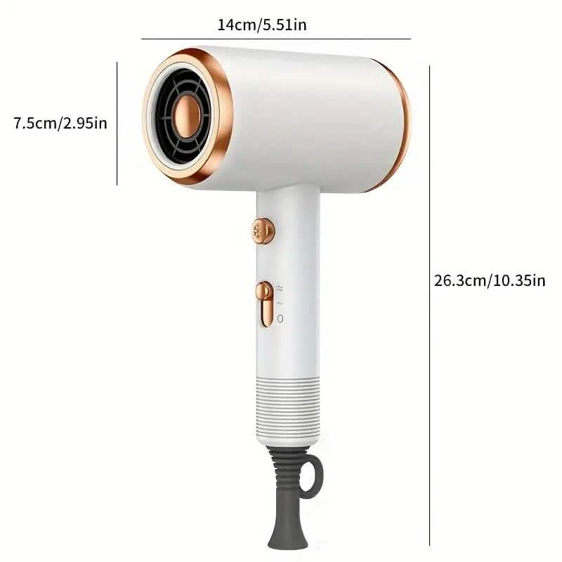 Powerful Ionic Hair Dryer with Diffuser DailySale
