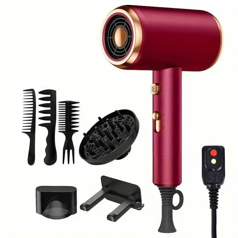 Powerful Ionic Hair Dryer with Diffuser DailySale