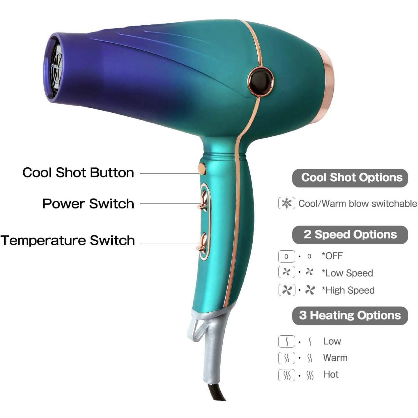 Professional Salon Hair Dryer 2300W DailySale