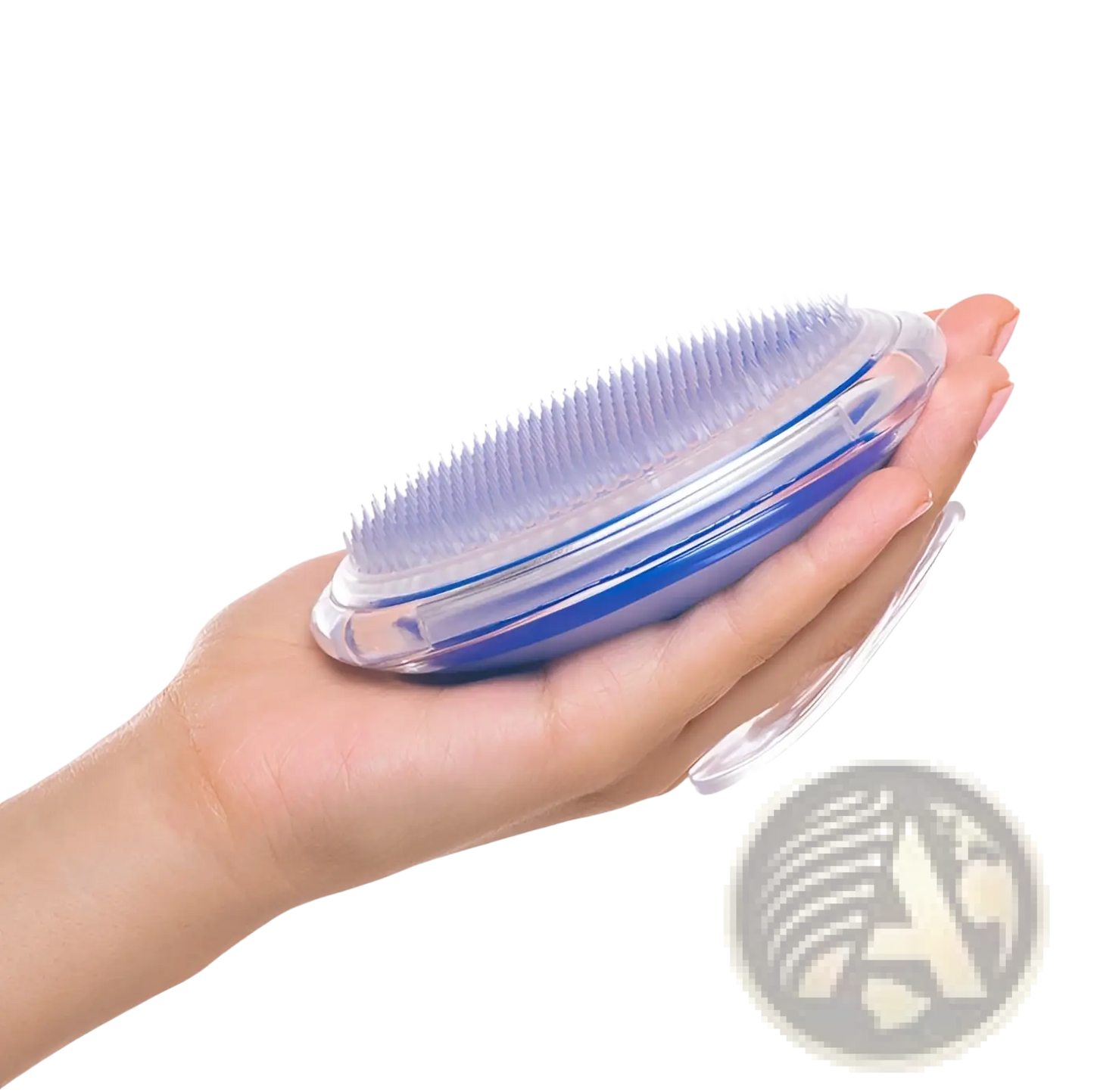 Scalp Massage Brush Exfoliating Hair Meridian Comb ARBA Global