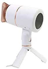 Stand-up Hair Dryer DailySale